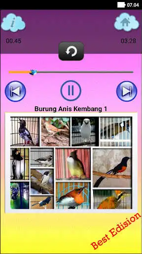 Play Suara Burung Pro  and enjoy Suara Burung Pro with UptoPlay