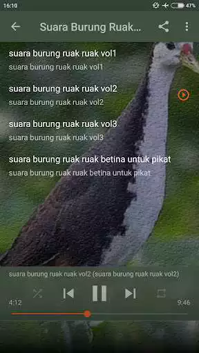 Play Suara Burung Ruak Ruak Pemikat Ampuh as an online game Suara Burung Ruak Ruak Pemikat Ampuh with UptoPlay