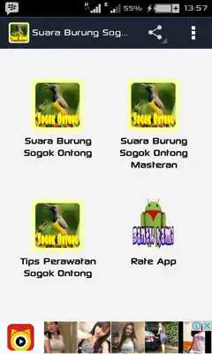 Play Suara burung sogok ontong and enjoy Suara burung sogok ontong with UptoPlay Play Suara burung sogok ontong and enjoy Suara burung sogok ontong with UptoPlay