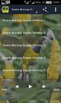 Play Suara burung sogok ontong as an online game online Suara burung sogok ontong with UptoPlay Play Suara burung sogok ontong as an online game Suara burung sogok ontong with UptoPlay