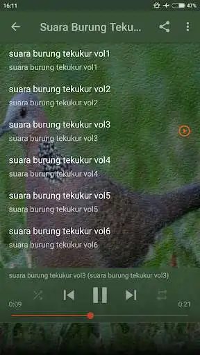 Play Suara Burung Tekukur Pemikat Ampuh as an online game Suara Burung Tekukur Pemikat Ampuh with UptoPlay