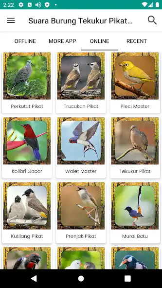 Play Suara Burung Tekukur Pikat as an online game Suara Burung Tekukur Pikat with UptoPlay