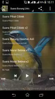 Play Suara Burung Untuk Memikat