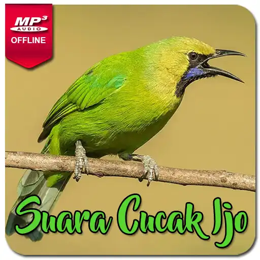 Play Suara Cucak Ijo Gacor Ngentrok APK
