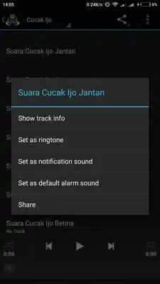 Play Suara Cucak Ijo Pilihan