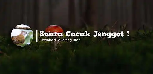 Play Suara Cucak Jenggot Gacor HD  and enjoy Suara Cucak Jenggot Gacor HD with UptoPlay