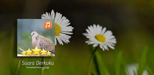 Play Suara Derkuku Pancingan as an online game Suara Derkuku Pancingan with UptoPlay