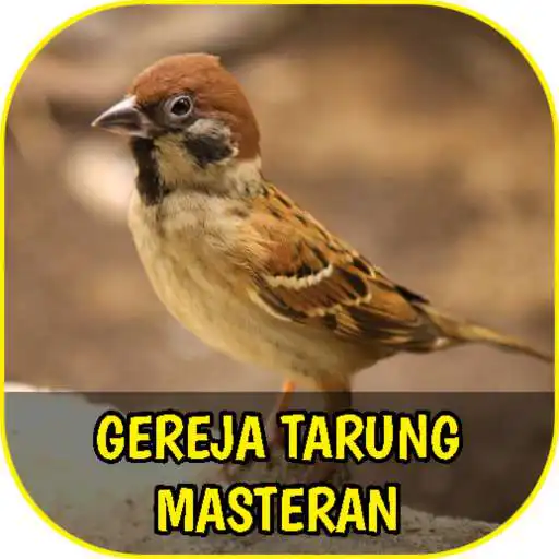 Run free android online Suara Gereja Tarung Masteran APK