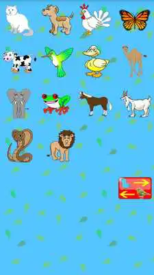 Play Suara Hewan as an online game online Suara Hewan with UptoPlay xyz.kmbmicro.suarahewan Play Suara Hewan as an online game Suara Hewan with UptoPlay