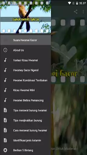 Play APK Suara Hwamei Gacor  and enjoy Suara Hwamei Gacor with UptoPlay com.restubunda.suara.hwamei.gacor