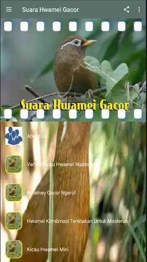 Play APK Suara Hwamei Gacor  and enjoy Suara Hwamei Gacor with UptoPlay com.restubunda.suara.hwamei.gacor