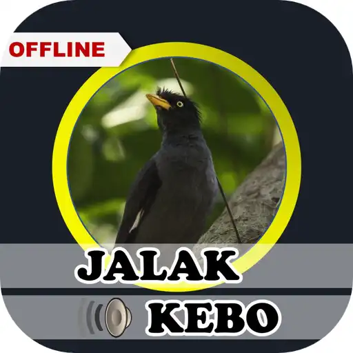 Play Suara Jalak Kebo Gacor Ampuh APK Play Suara Jalak Kebo Gacor Ampuh APK