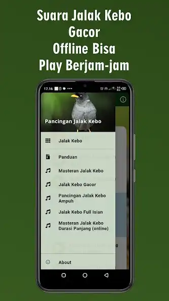 Play Suara Jalak Kebo Gacor Ampuh  and enjoy Suara Jalak Kebo Gacor Ampuh with UptoPlay