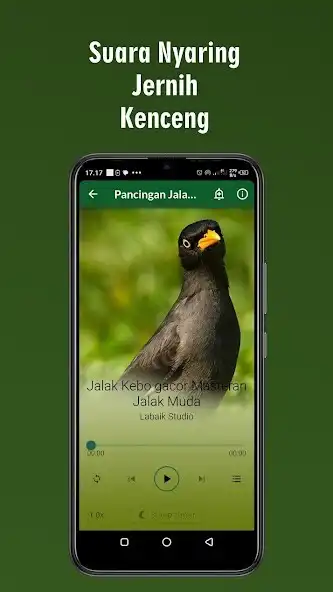 Play Suara Jalak Kebo Gacor Ampuh as an online game Suara Jalak Kebo Gacor Ampuh with UptoPlay