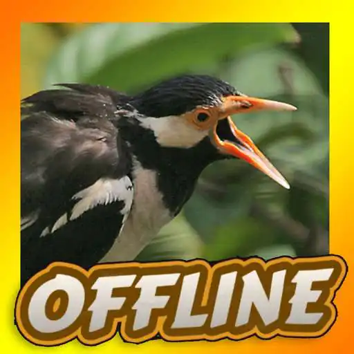 Play Suara Jalak Suren Jernih Gacor APK Play Suara Jalak Suren Jernih Gacor APK