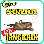 Free play online Suara Jangkrik Masteran Burung APK