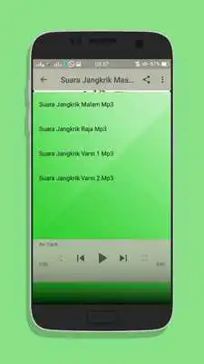 Play Suara Jangkrik Masteran Burung