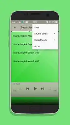 Play Suara Jangkrik Masteran Burung