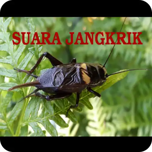 Play Suara Jangkrik Offline APK