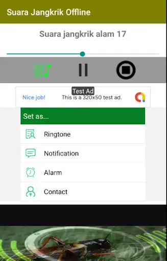 Play Suara Jangkrik Offline as an online game online Suara Jangkrik Offline with UptoPlay com.vjy.suarajangkrikoffterbaru Play Suara Jangkrik Offline as an online game Suara Jangkrik Offline with UptoPlay