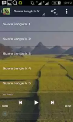 Play Suara Jangkrik