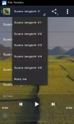 Play Suara Jangkrik