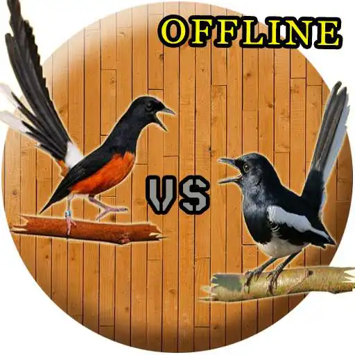 Play Suara Kacer Dan Murai Batu APK