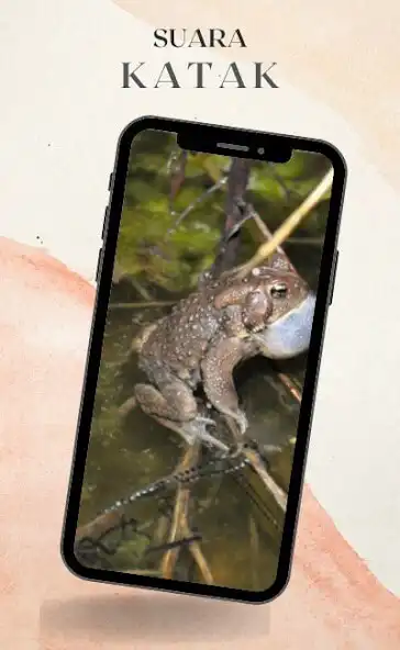 Play Suara Katak Nada Dering and enjoy Suara Katak Nada Dering with UptoPlay Play Suara Katak Nada Dering and enjoy Suara Katak Nada Dering with UptoPlay