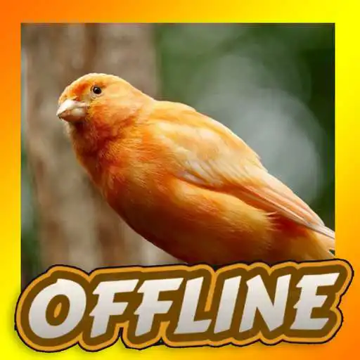 Play Suara Kenari Jernih Gacor APK