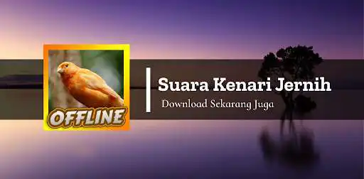 Play Suara Kenari Jernih Gacor  and enjoy Suara Kenari Jernih Gacor with UptoPlay