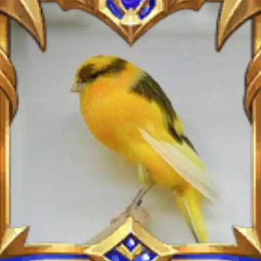 Play Suara Kenari Super APK