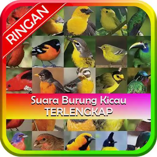 Play Suara Kicau Burung Lengkap APK