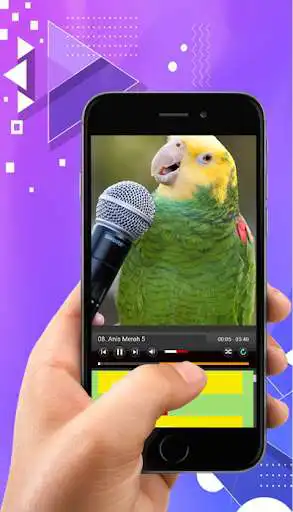 Play Suara Kicau Burung Lengkap as an online game Suara Kicau Burung Lengkap with UptoPlay