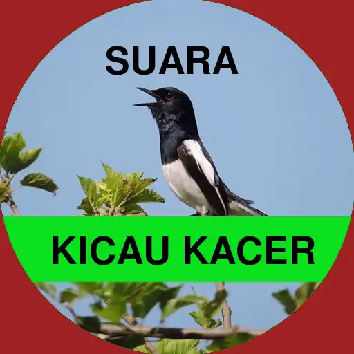 Play Suara Kicau Kacer Gacor (Offline) APK Play Suara Kicau Kacer Gacor (Offline) APK