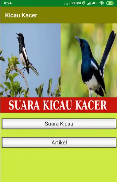 Play Suara Kicau Kacer Gacor (Offline)  and enjoy Suara Kicau Kacer Gacor (Offline) with UptoPlay