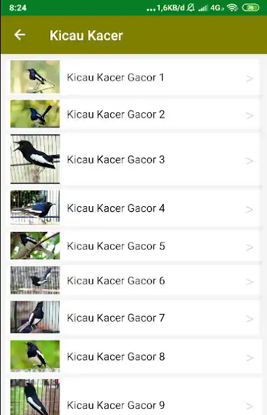 Play Suara Kicau Kacer Gacor (Offline) as an online game Suara Kicau Kacer Gacor (Offline) with UptoPlay