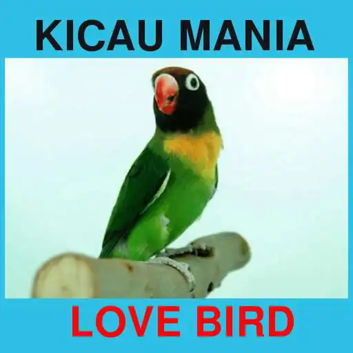 Play Suara Kicau Love Bird Juara Offline APK