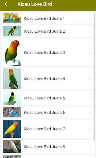 Play Suara Kicau Love Bird Juara Offline as an online game Suara Kicau Love Bird Juara Offline with UptoPlay