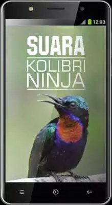 Play Suara Kolibri Ninja
