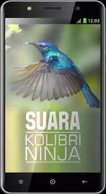 Play Suara Kolibri Ninja