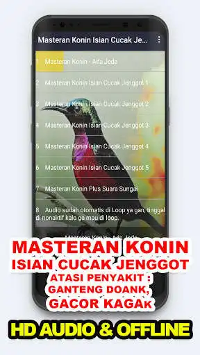 Play Suara Konin Cucak Jenggot  and enjoy Suara Konin Cucak Jenggot with UptoPlay