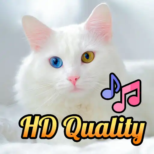 Play Suara Kucing Offline APK Play Suara Kucing Offline APK