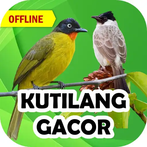 Play Suara Kutilang Gacor Mp3 APK Play Suara Kutilang Gacor Mp3 APK