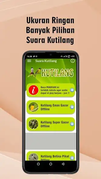 Play Suara Kutilang Gacor Mp3 as an online game Suara Kutilang Gacor Mp3 with UptoPlay