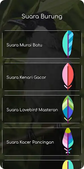 Play Suara Kutilang and enjoy Suara Kutilang with UptoPlay Play Suara Kutilang and enjoy Suara Kutilang with UptoPlay