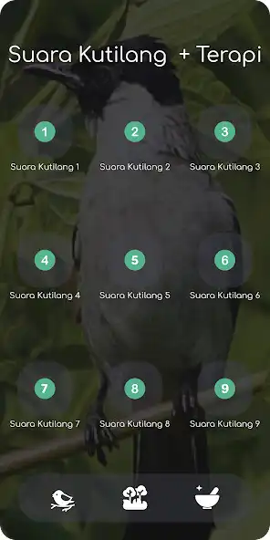 Play Suara Kutilang as an online game online Suara Kutilang with UptoPlay Play Suara Kutilang as an online game Suara Kutilang with UptoPlay