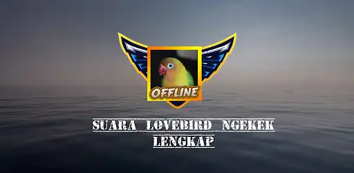 Play Suara Lovebird Ngekek Lengkap and enjoy Suara Lovebird Ngekek Lengkap with UptoPlay Play Suara Lovebird Ngekek Lengkap and enjoy Suara Lovebird Ngekek Lengkap with UptoPlay