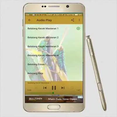 Play Suara Masteran Belalang Kecek Play Suara Masteran Belalang Kecek