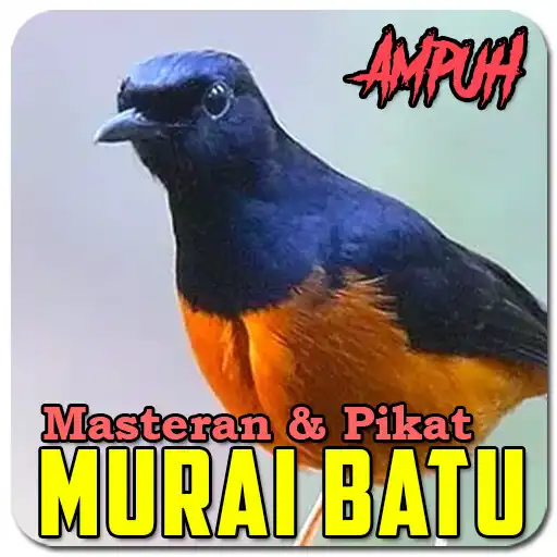 Play Suara Murai Batu Gacor Ampuh APK