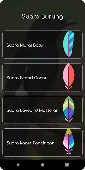 Play Suara Murai Batu as an online game online Suara Murai Batu with UptoPlay Play Suara Murai Batu as an online game Suara Murai Batu with UptoPlay